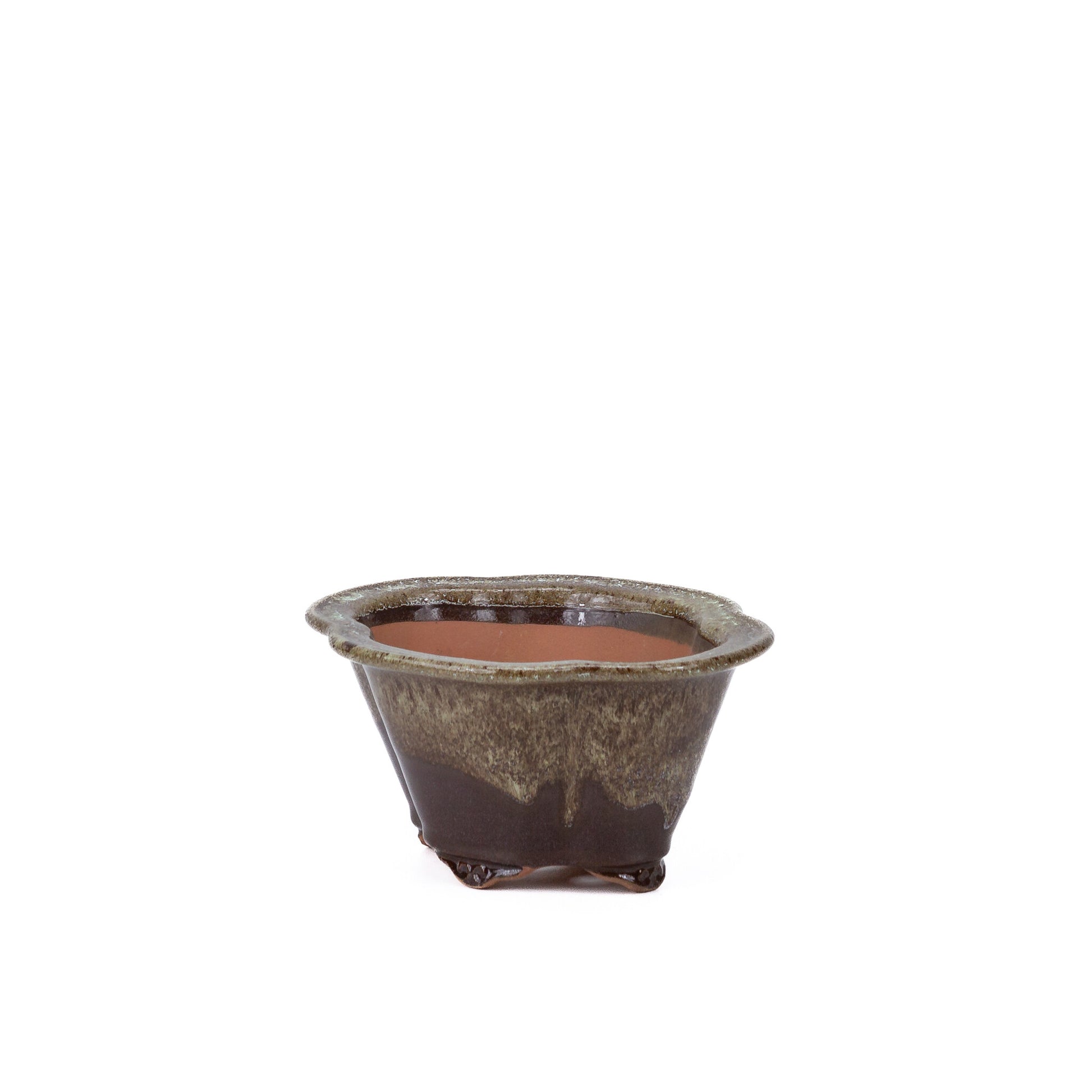 Bonsai pot chrysanten bruin beige 15.5cm