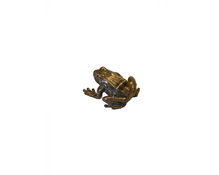 Bonsai Tenpai / Kikker (zilver)