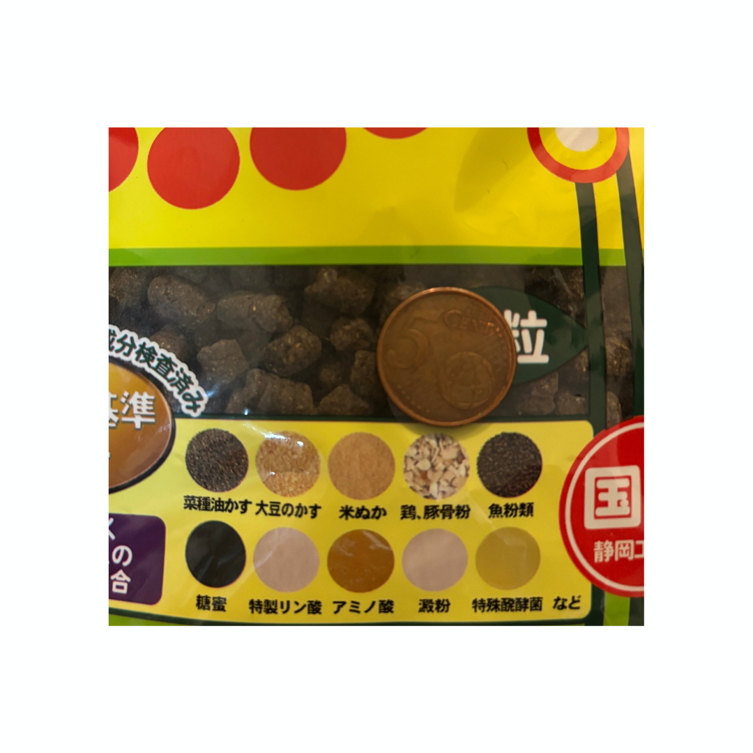 Bonsai Tosho Aburakasu (kleine korrel) 600gr