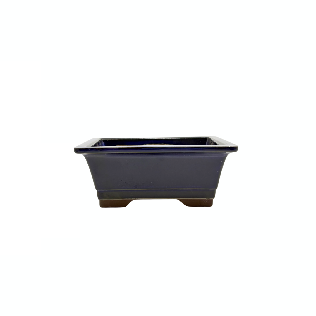 Bonsai pot set - rechthoekig, geglazuurd, blauw (14cm breed)