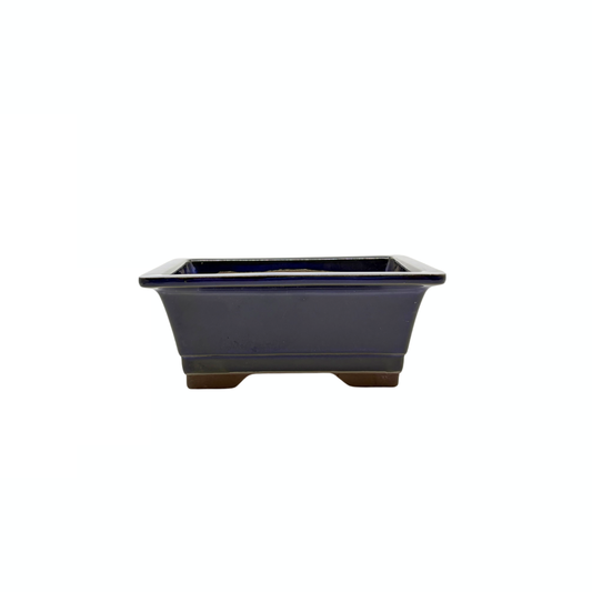 Bonsai pot set - rechthoekig, geglazuurd, blauw (14cm breed)
