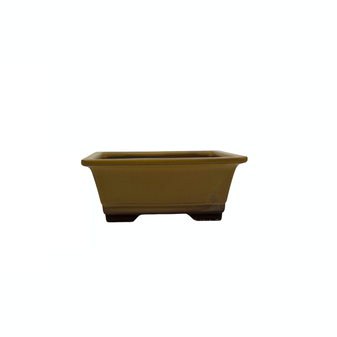 Bonsai pot set - rechthoekig, geglazuurd, geel (14cm breed)