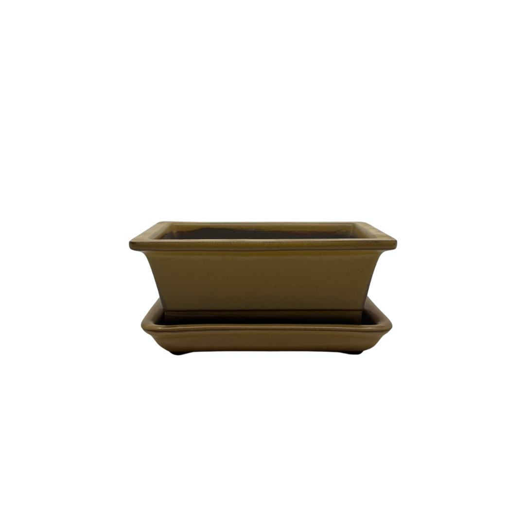Bonsai pot set - rechthoekig, geglazuurd, geel (14cm breed)