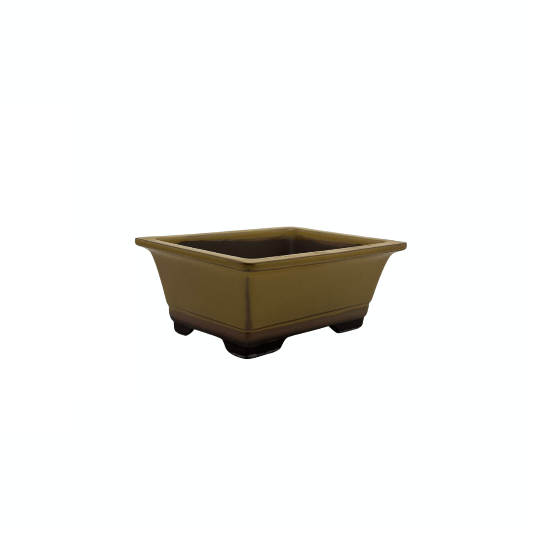 Bonsai pot set - rechthoekig, geglazuurd, geel (14cm breed)