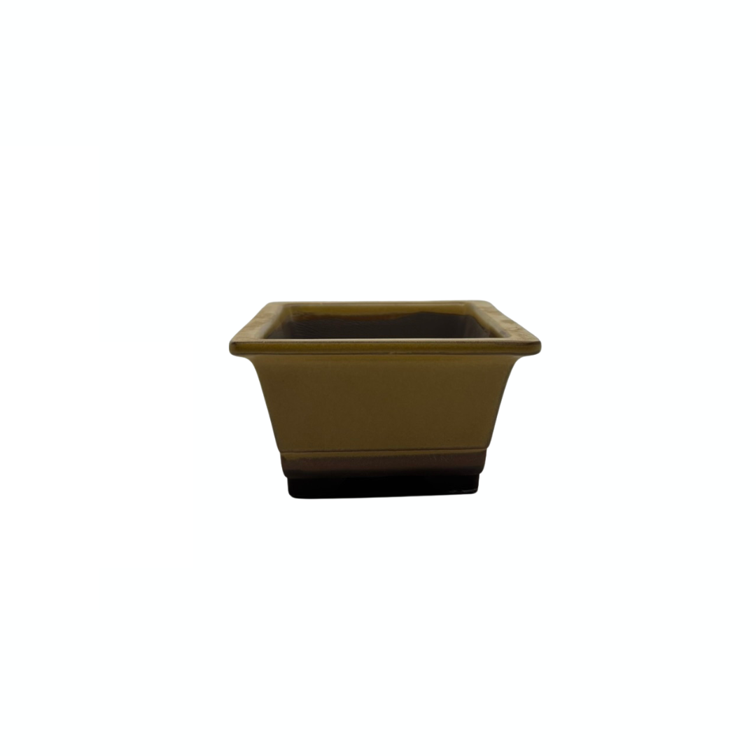 Bonsai pot set - rechthoekig, geglazuurd, geel (14cm breed)