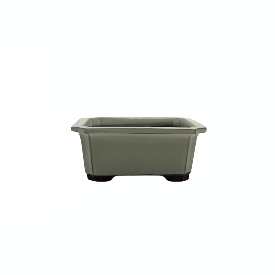Bonsai pot set - rechthoekig, geglazuurd, crème (14cm breed)