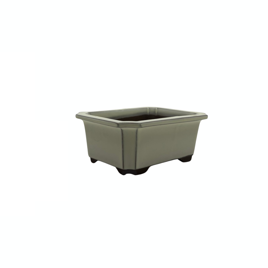 Bonsai pot set - rechthoekig, geglazuurd, crème (14cm breed)