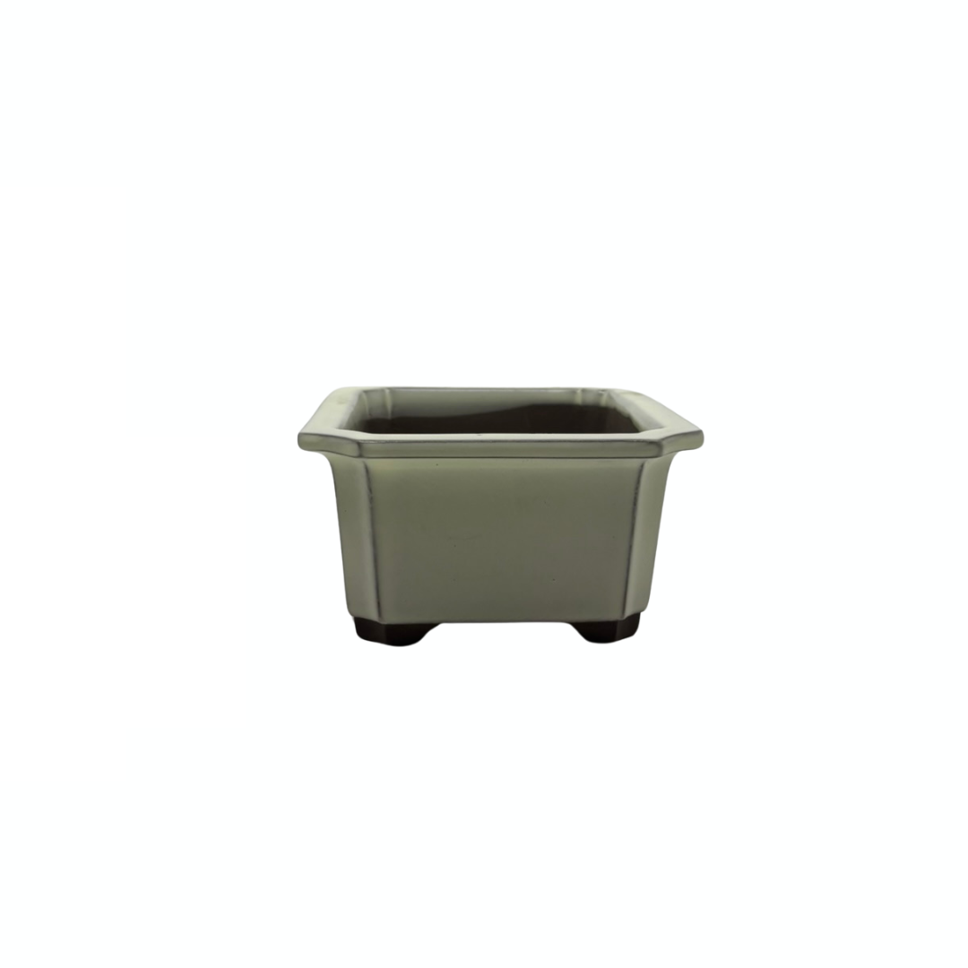 Bonsai pot set - rechthoekig, geglazuurd, crème (14cm breed)
