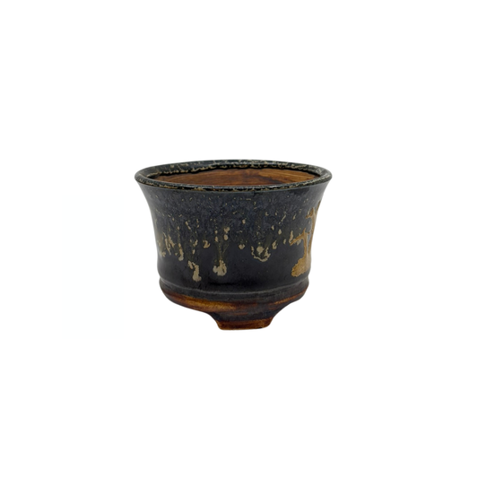 Shohin Bonsai pot zwart met goud René Lecocq 9cm