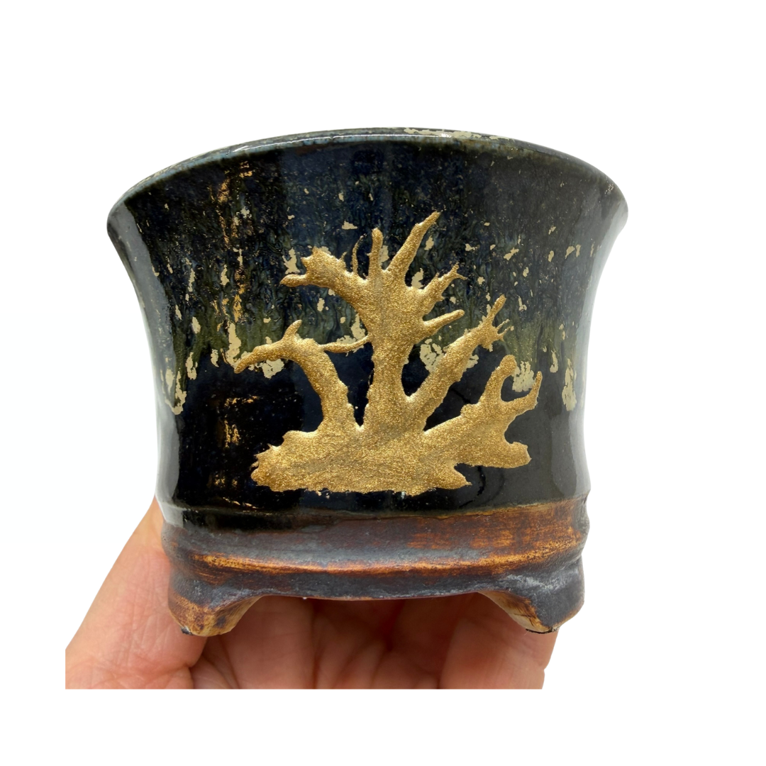 Shohin Bonsai pot zwart met goud René Lecocq 9cm