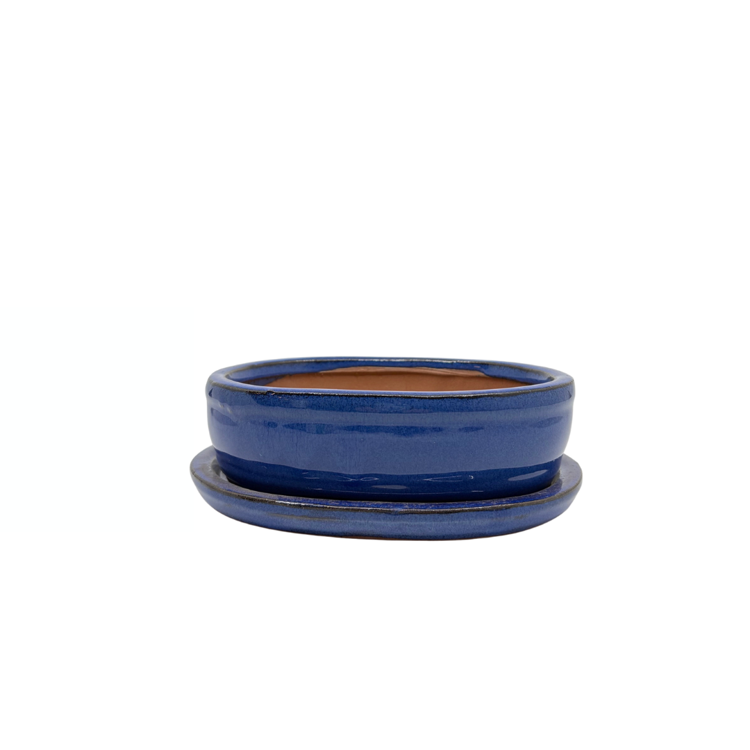 Bonsai pot blauw ovaal 16cm - set