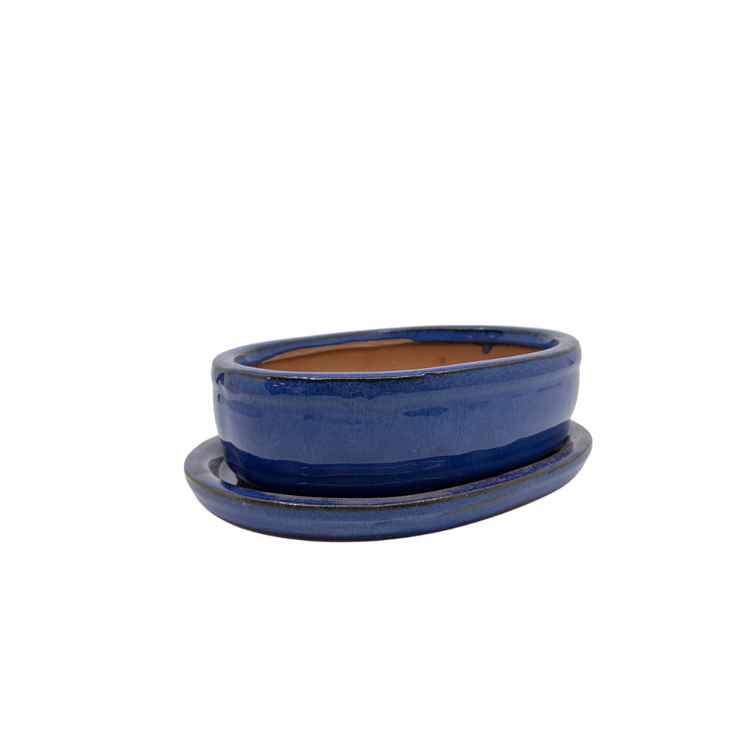 Bonsai pot blauw ovaal 16cm - set