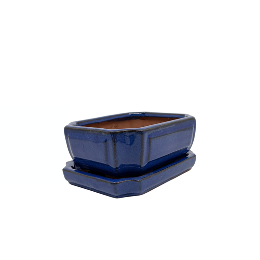 Bonsai pot blauw rechthoek 15cm - set
