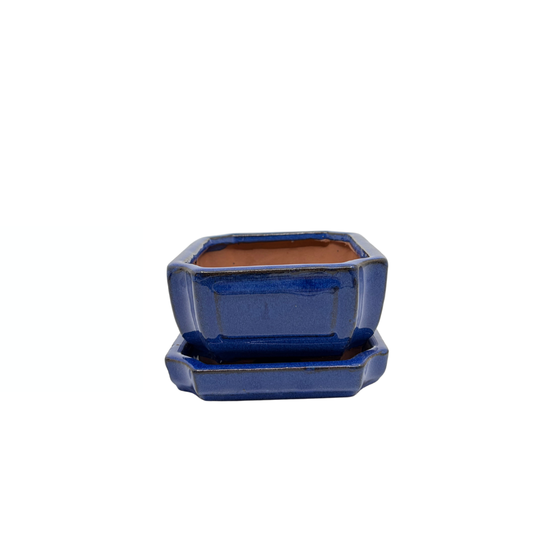 Bonsai pot blauw rechthoek 15cm - set