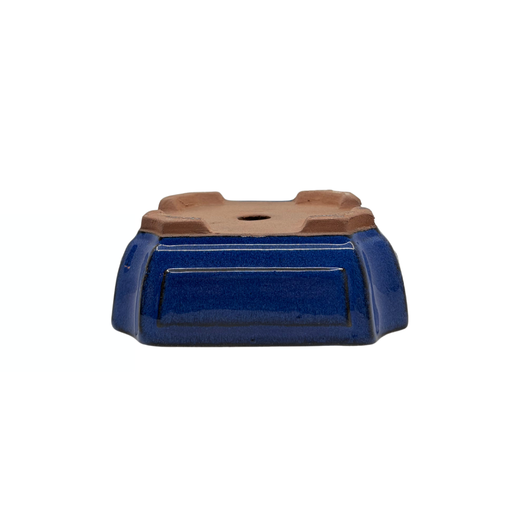 Bonsai pot blauw rechthoek 20cm - set