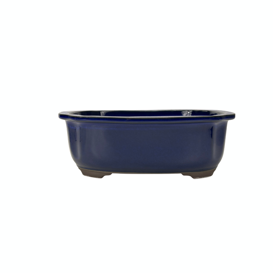 Bonsai pot blauw mokko 25cm