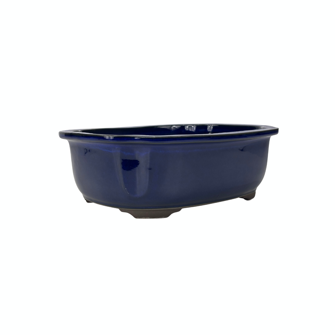 Bonsai pot blauw mokko 25cm