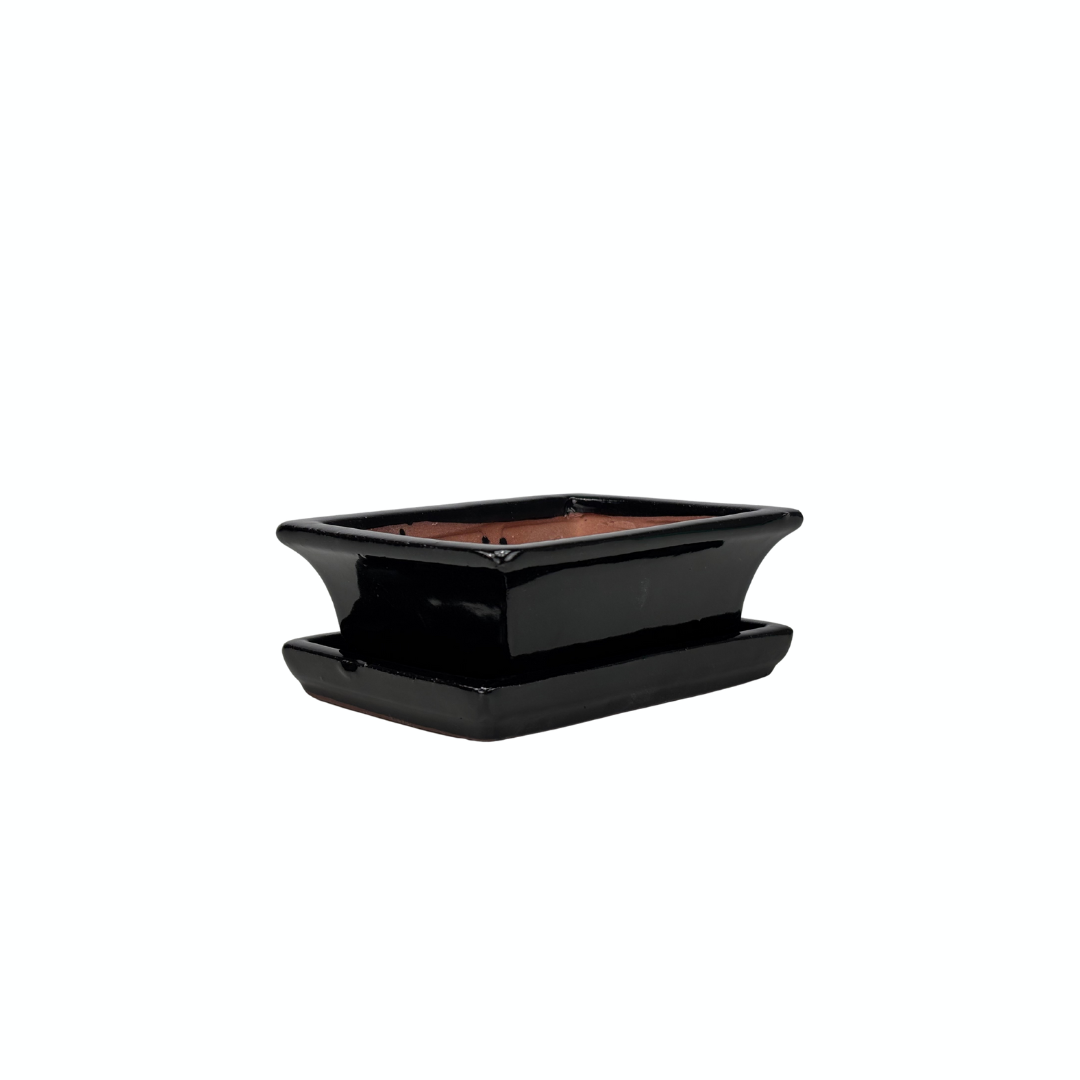 Bonsai pot zwart rechthoek 14cm - set