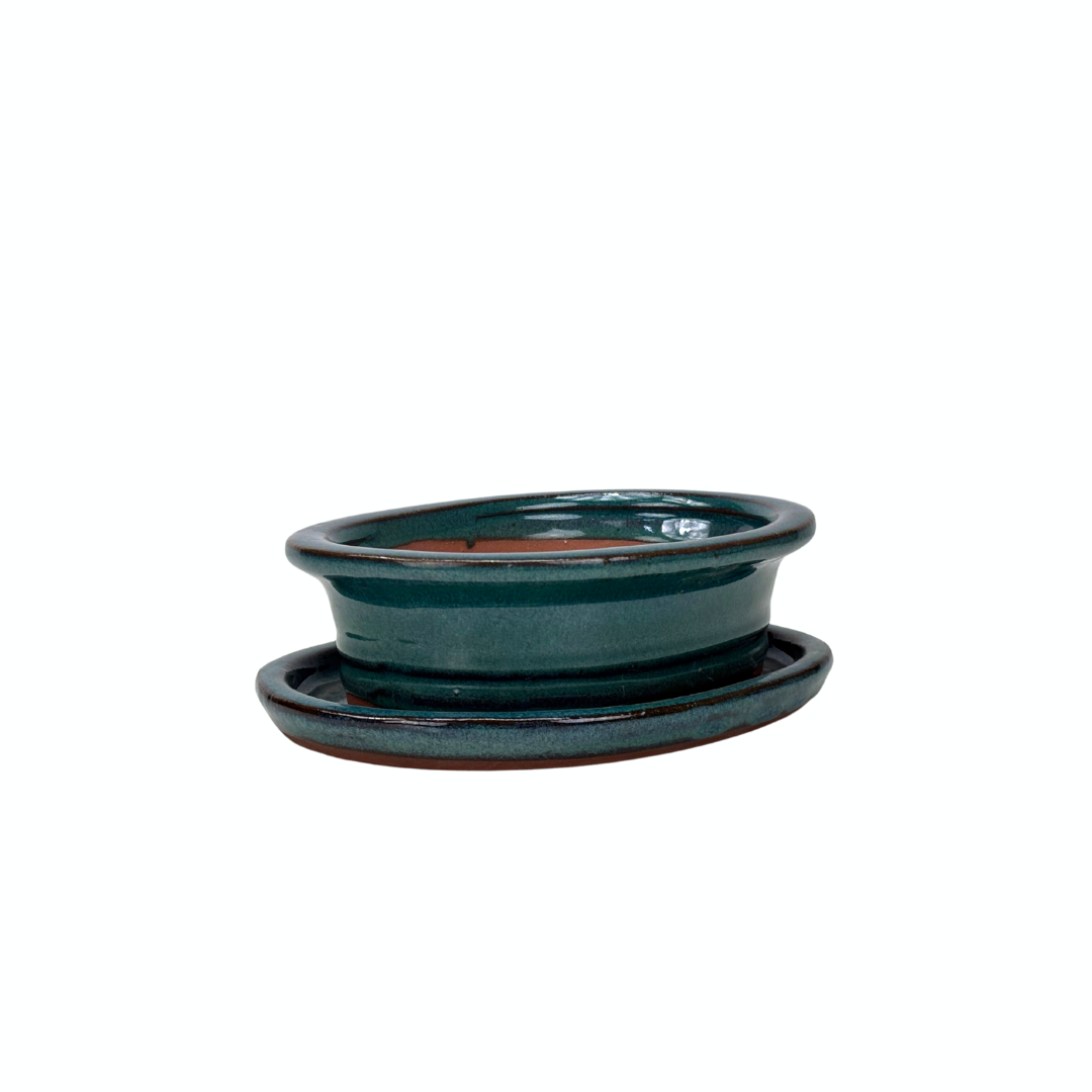 Bonsai pot groen ovaal met rand 16cm - set