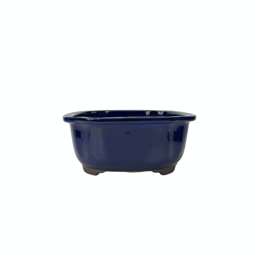 Bonsai pot blauw mokko 25cm
