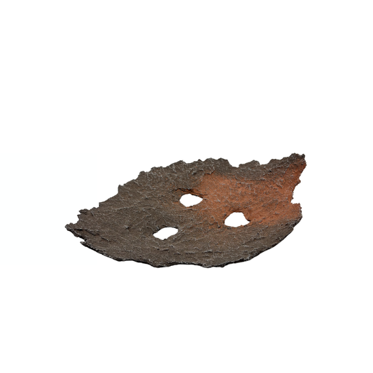 Bonsai slab bruin met rode accenten 26cm