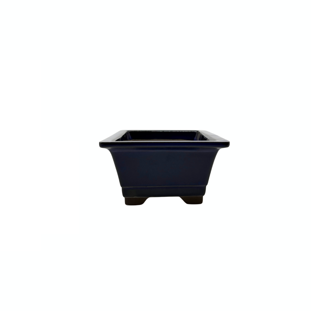 Bonsai pot set - rechthoekig, geglazuurd, blauw (14cm breed)