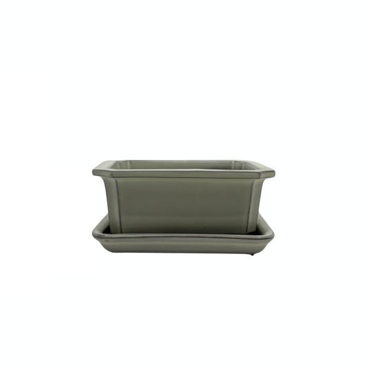 Bonsai pot set - rechthoekig, geglazuurd, crème (14cm breed)