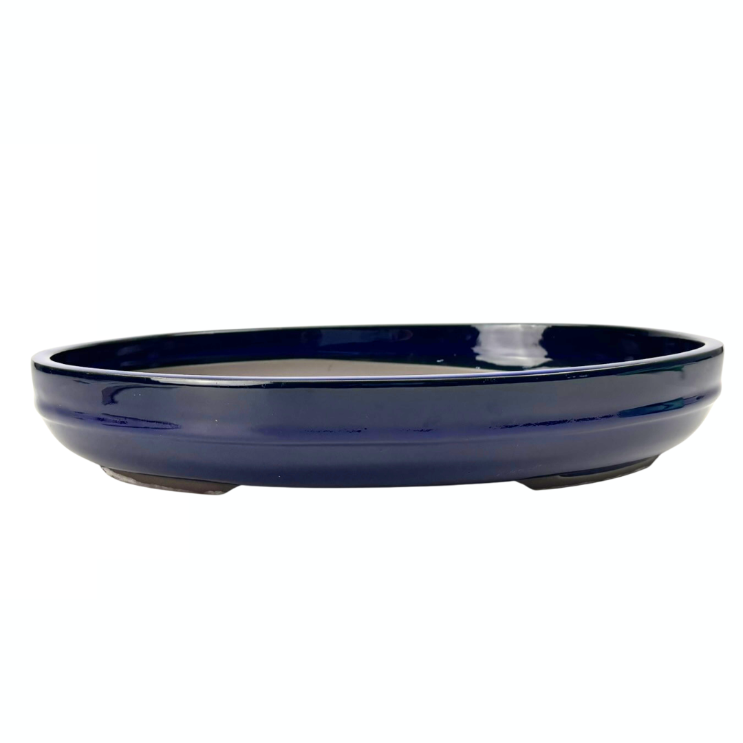 Bonsai pot - ovaal, geglazuurd, blauw (47cm breed)