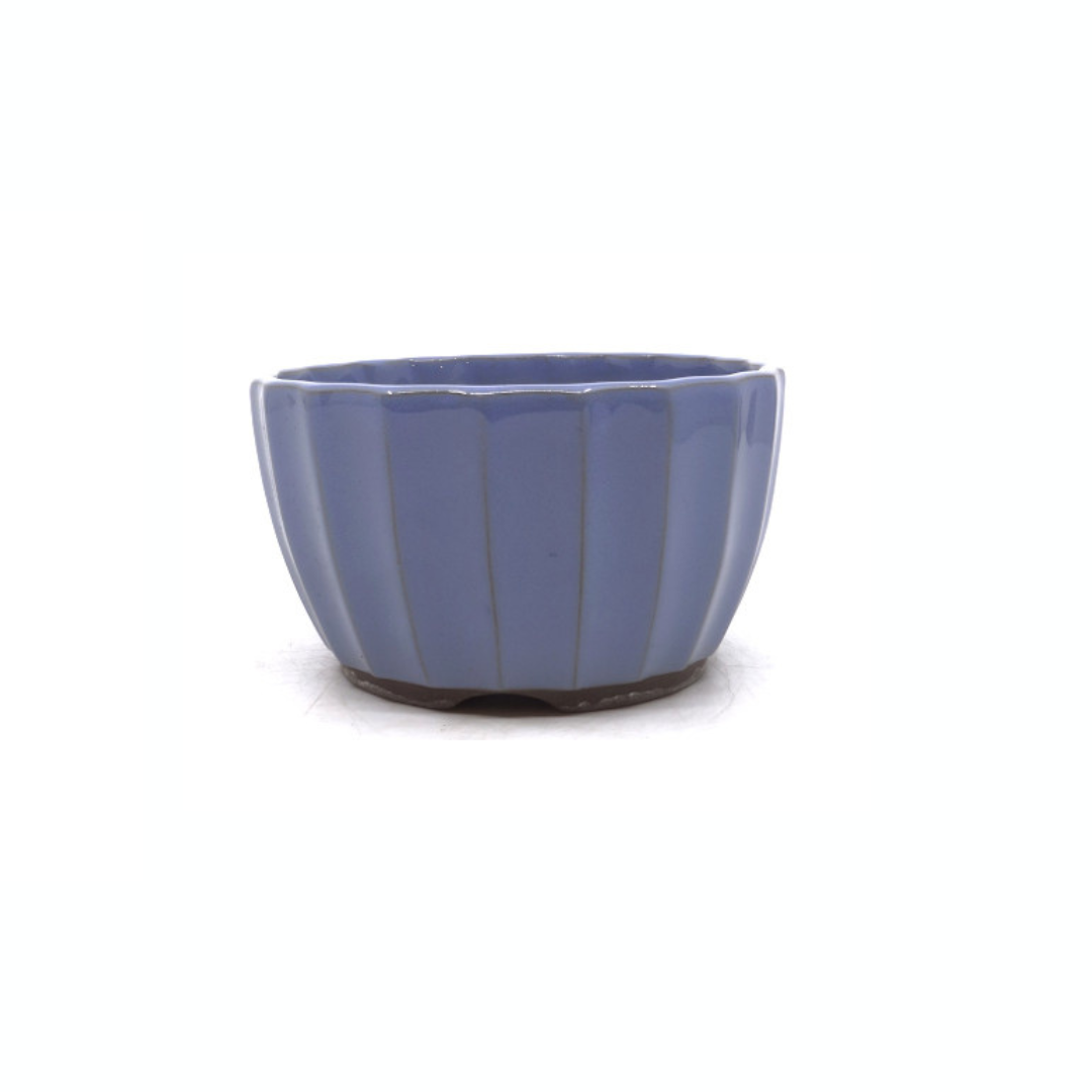 Bonsai pot lichtblauw chrysanten 15cm