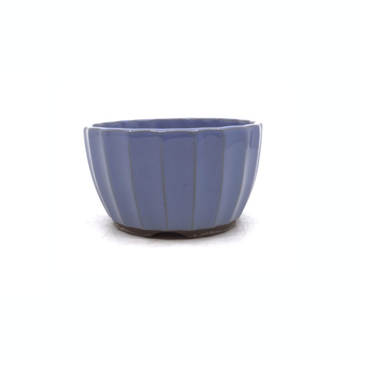 Bonsai pot lichtblauw chrysanten 15cm