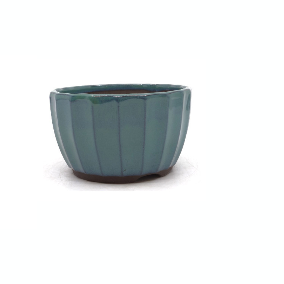 Bonsai pot groen chrysanten 15cm