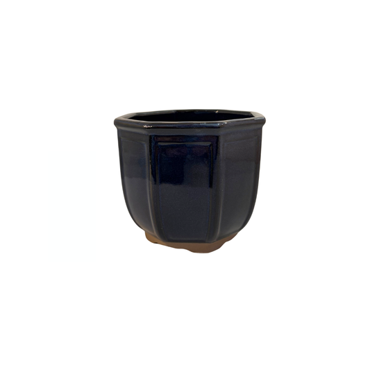 Bonsai pot achthoek cascade donkerblauw 12cm