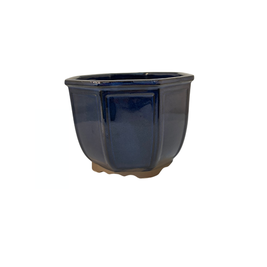 Bonsai pot achthoek cascade donkerblauw 14cm