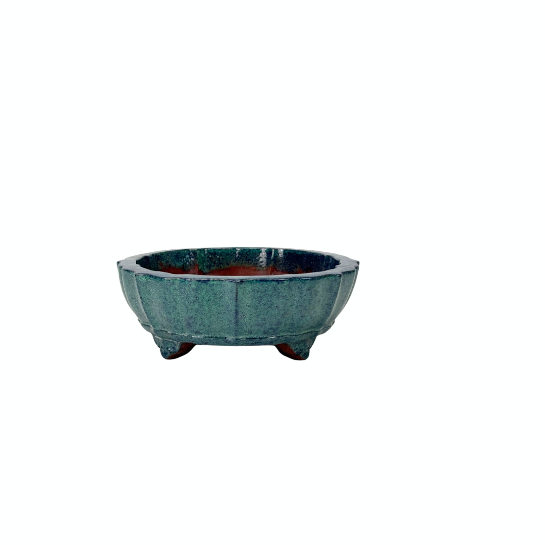 Bonsai pot blauw groen chrysant 17cm