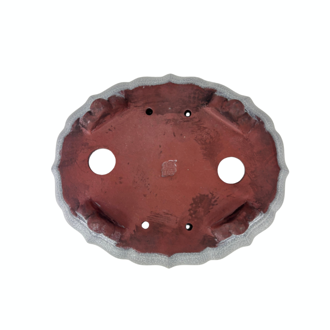 Bonsai pot wit grijs craquelé chrysant 17cm