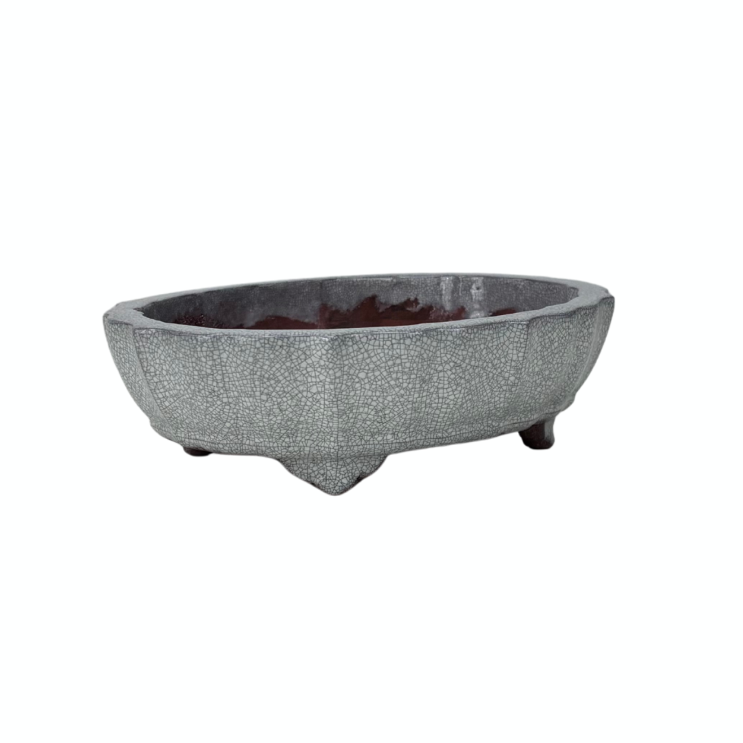 Bonsai pot wit grijs craquelé chrysant 17cm