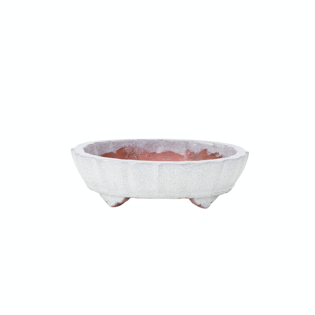 Bonsai pot wit grijs craquelé chrysant 17cm