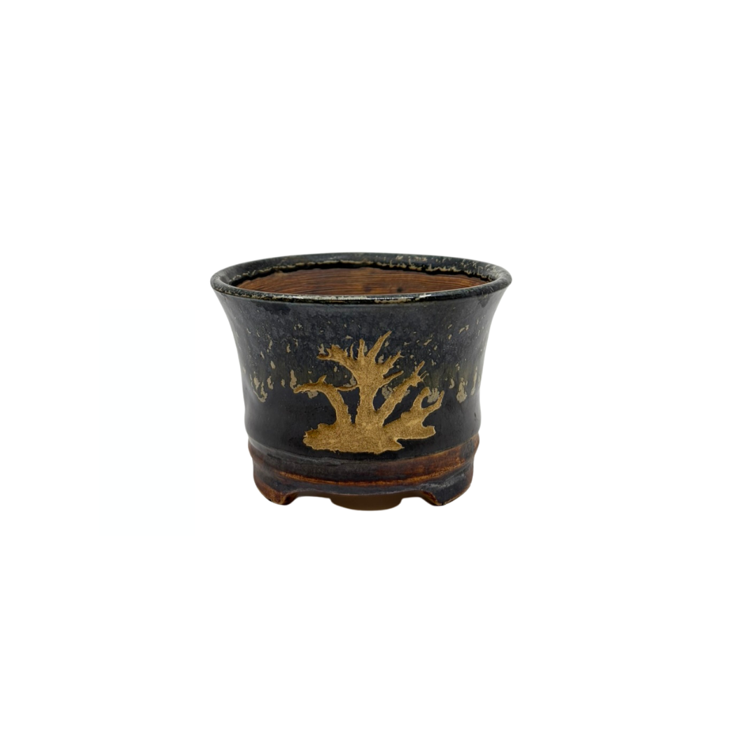 Shohin Bonsai pot zwart met goud René Lecocq 9cm
