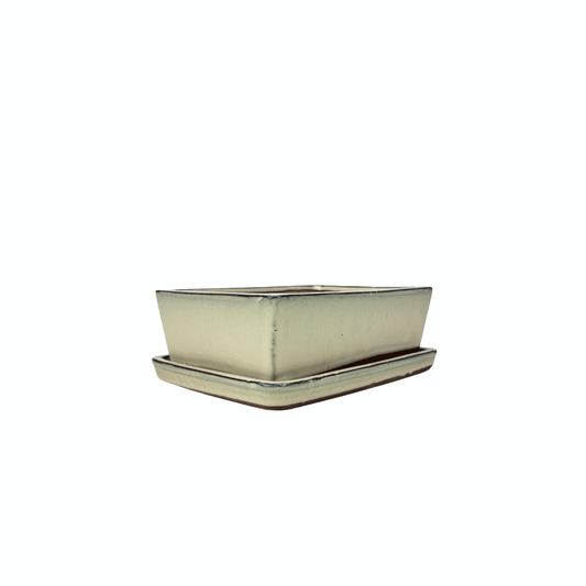Bonsai pot creme rechthoek 15cm - set