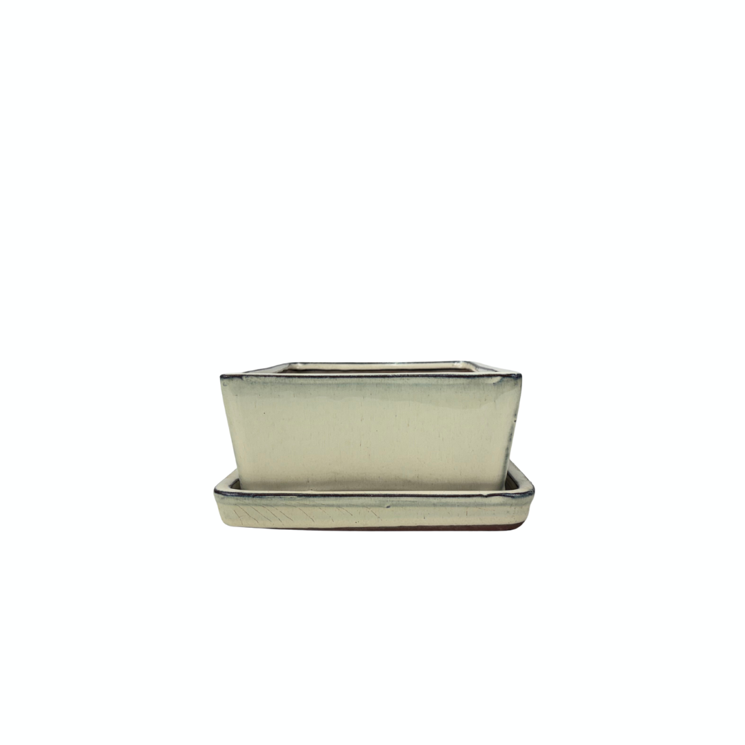Bonsai pot creme rechthoek 15cm - set