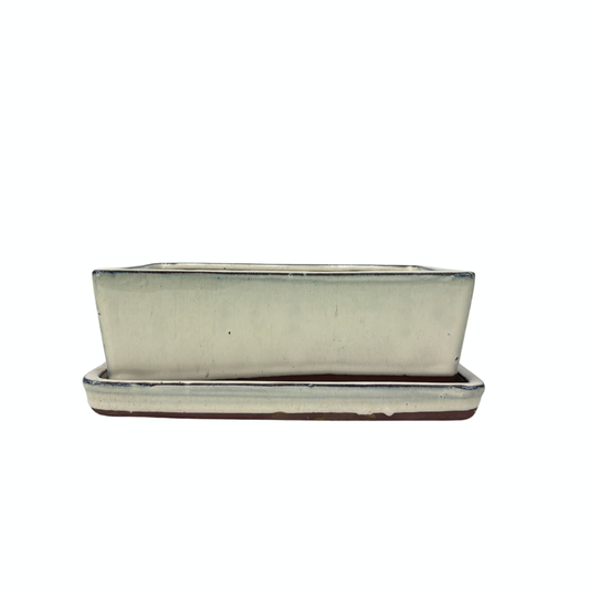 Bonsai pot creme rechthoek 25cm - set