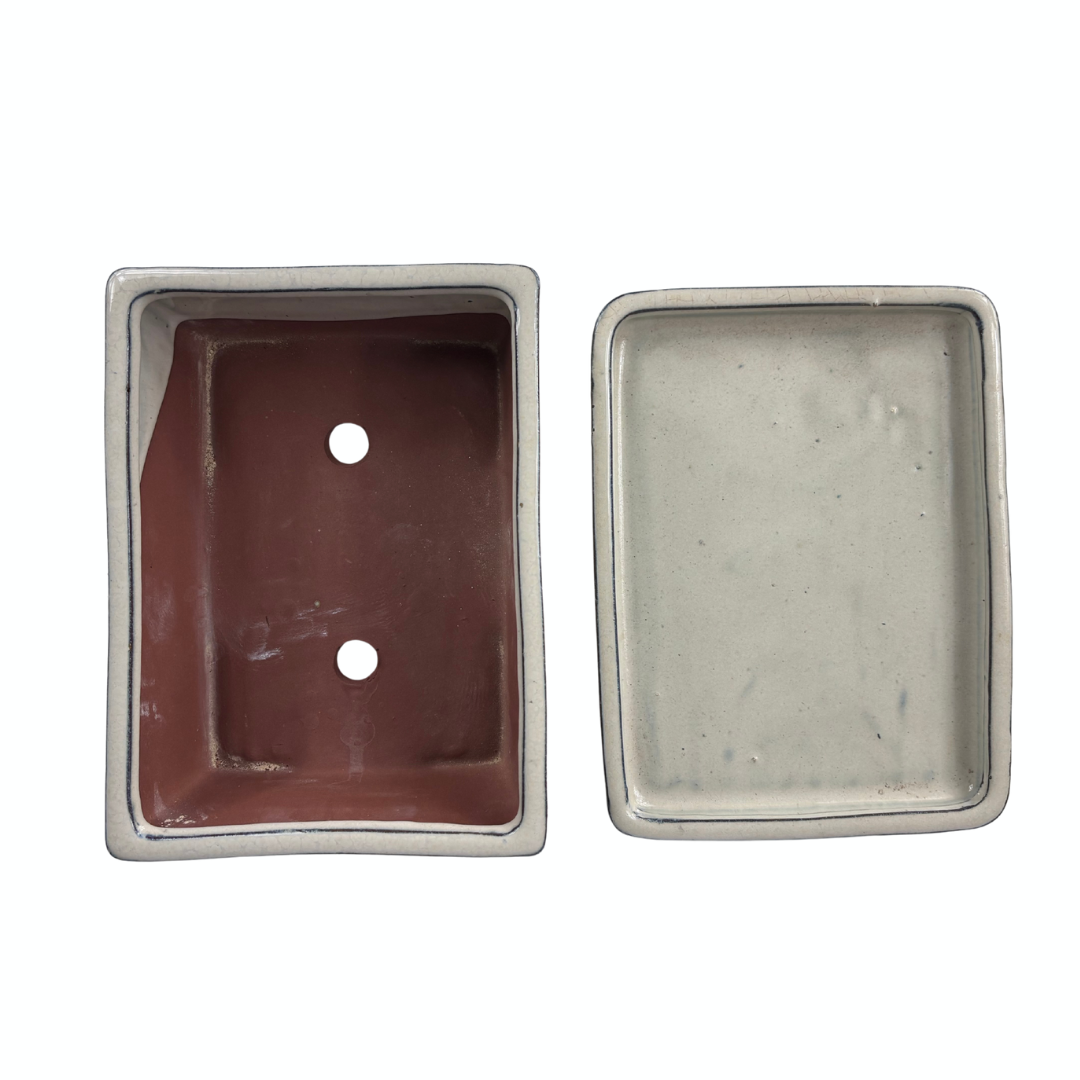 Bonsai pot creme rechthoek 15cm - set
