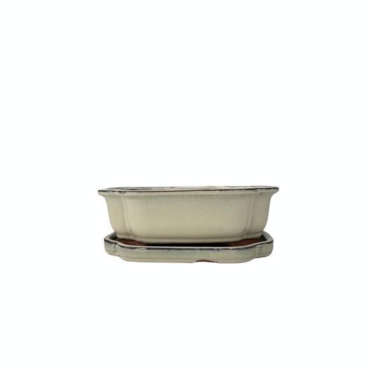 Bonsai pot creme mokko 16cm - set