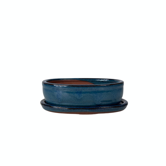 Bonsai pot blauw ovaal 16cm - set