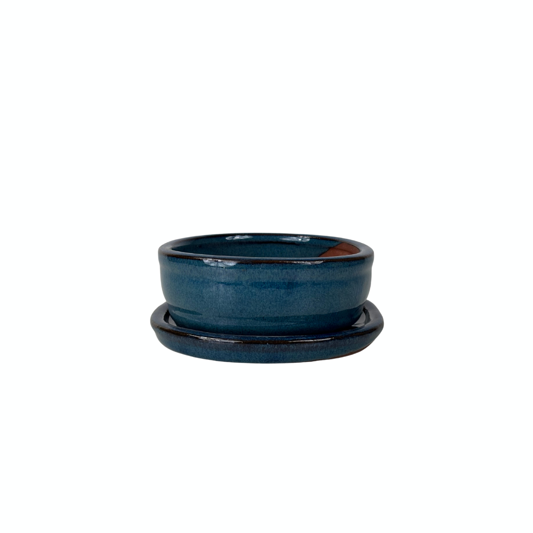 Bonsai pot blauw ovaal 16cm - set