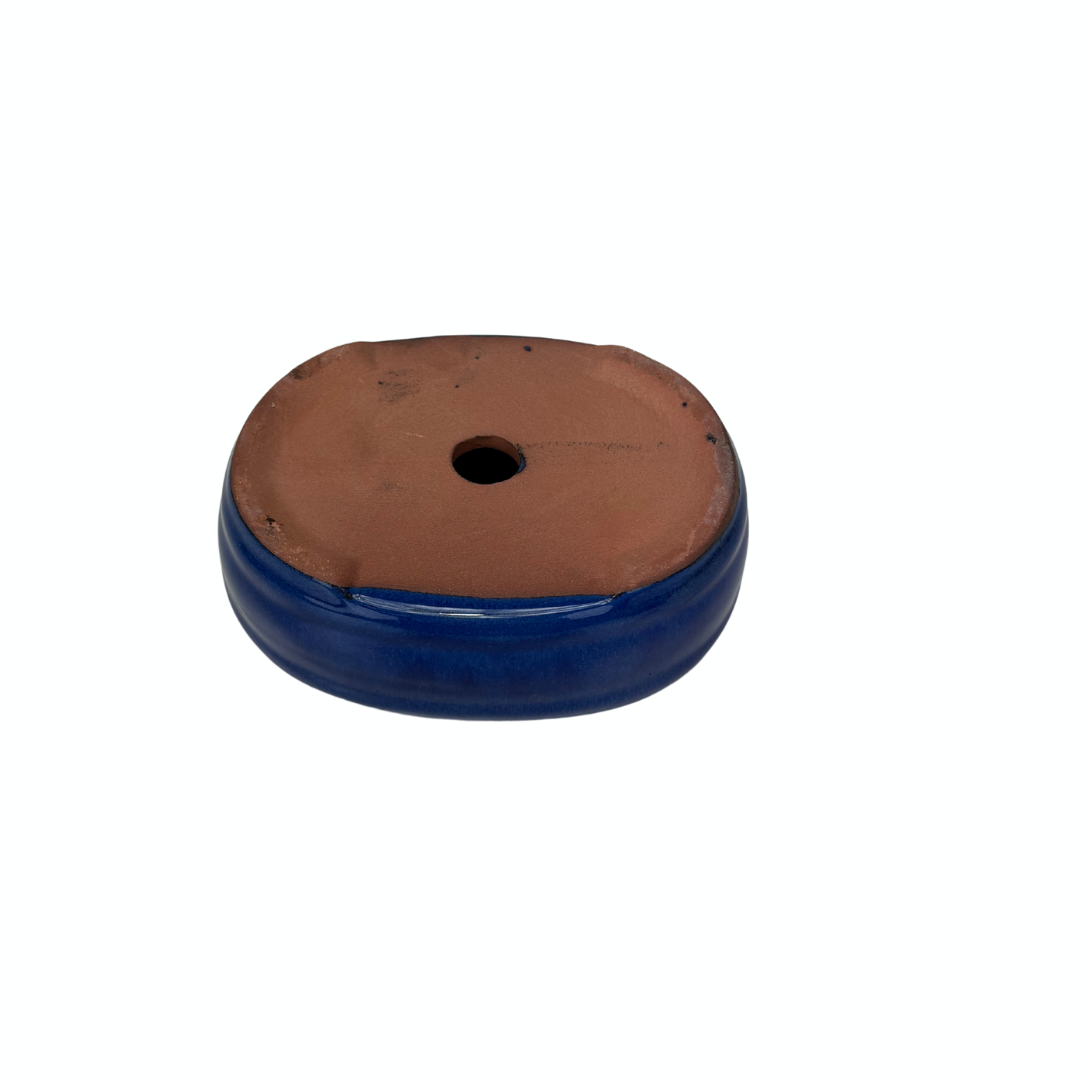 Bonsai pot donker blauw ovaal 16cm - set
