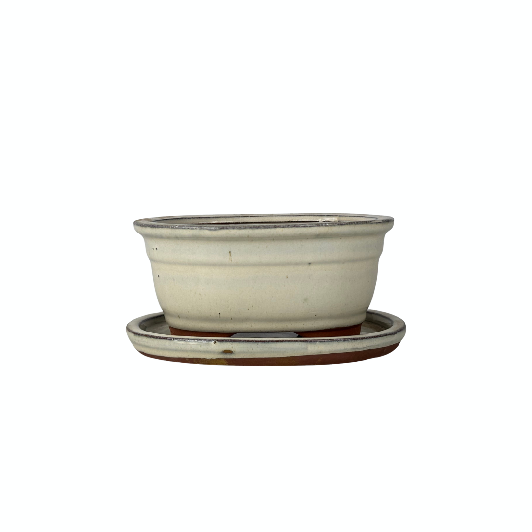 Bonsai pot creme ovaal 16cm - set
