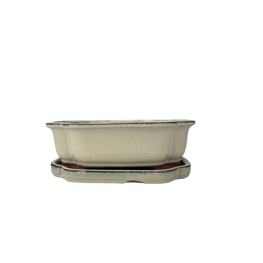 Bonsai pot creme mokko 22cm - set