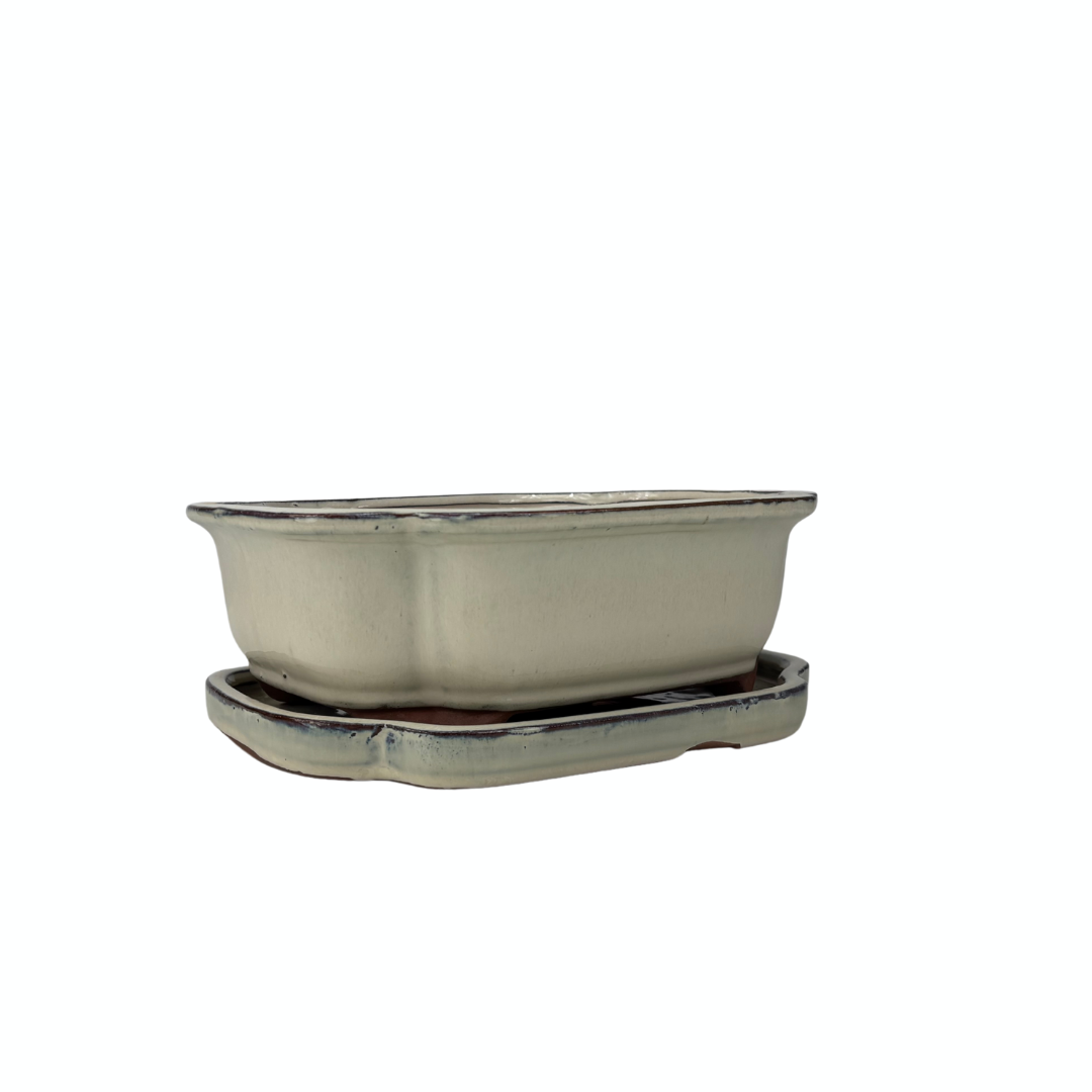 Bonsai pot creme mokko 32cm - set