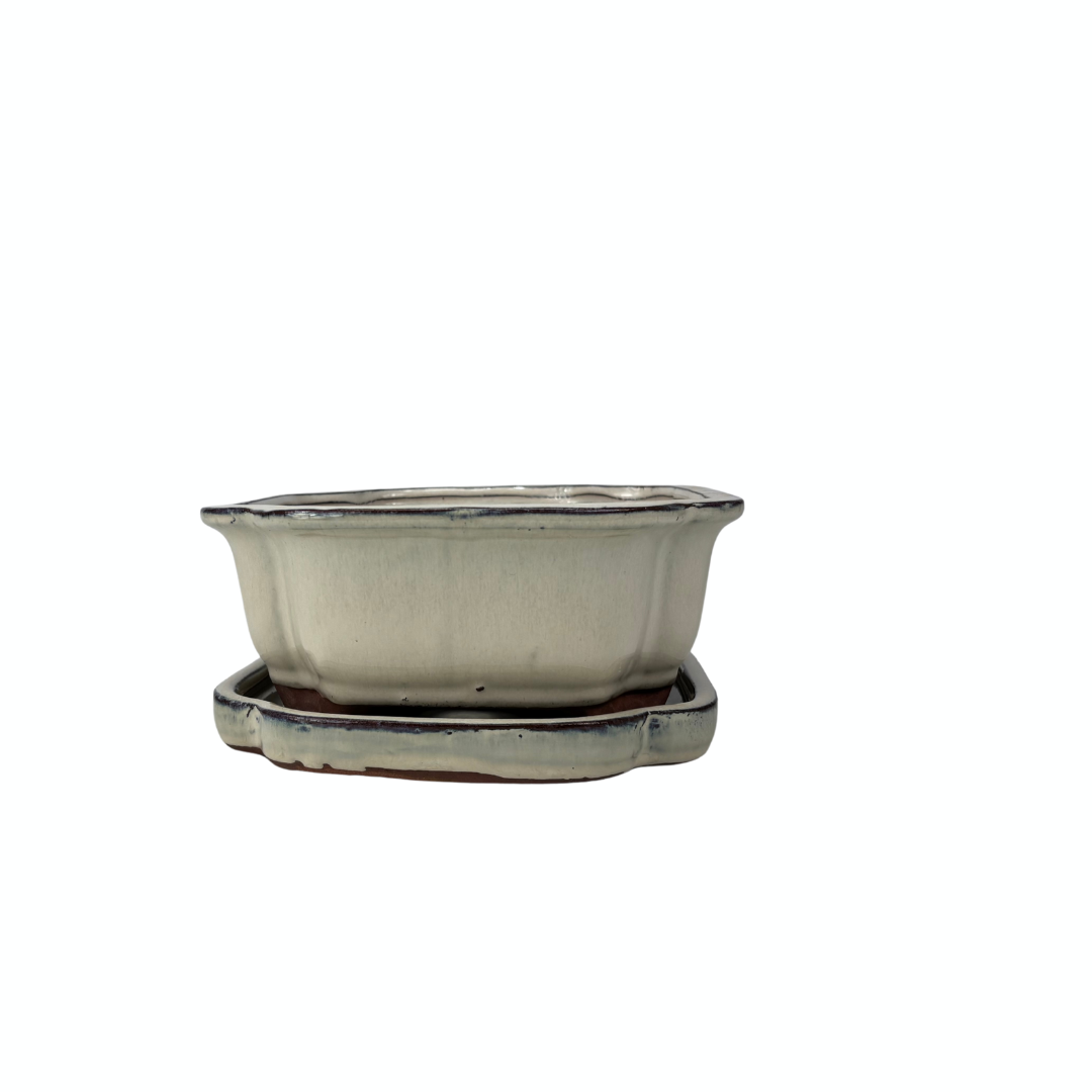 Bonsai pot creme mokko 32cm - set